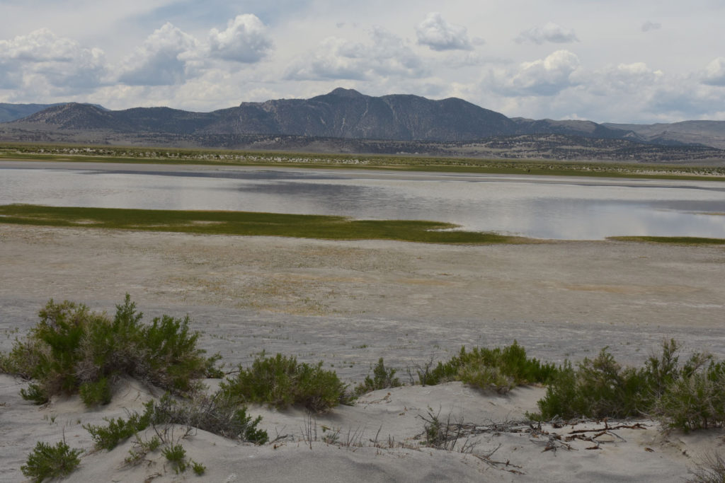 Scenic view of "Adobe Lake" 2018-05-30, #05, with Granite Mountain in distance; lacks fairy shrimp; Bishop BLM Office