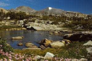 Scenic view of "Coon Lake" South Pond #3 1987-08-11, #3219, with Wind River Peak in distance; has fairy shrimp; Pinedale Ranger District, Bridger-Teton National Forest, Bridger Wilderness