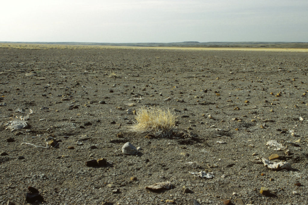 Scenic view of "Coyote Lake" 1992-05-07, #0103; dry; Lander BLM Office