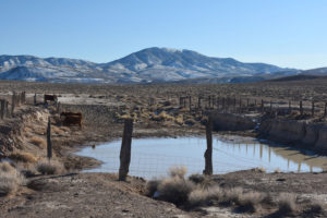 Scenic view of Garfield 5890 Saddle Pond 2022-02-17, #06, with Excelsior Mountains in distance and cows; has fairy shrimp; Stillwater BLM Office