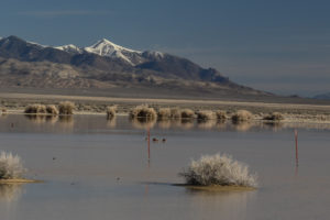 Scenic view of Labou Playa North Pond 2019-03-19, #01, with Stillwater Range in distance; has fairy shrimp; Stillwater BLM Office