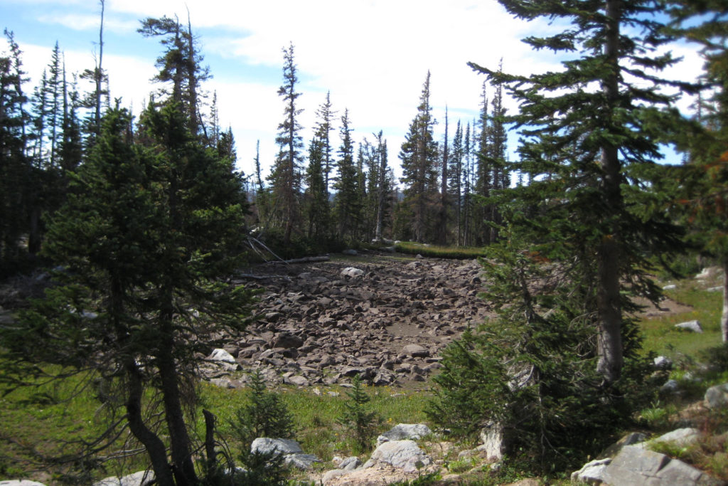 Scenic view of Lost in the Trees Pond 2010-08-25, #156; dry; Laramie Ranger District, Medicine Bow National Forest