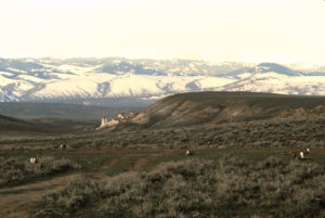 Monument Draw 1987-04, #1506, with sage grouse and Wind River Mountains in distance; Lander BLM Office