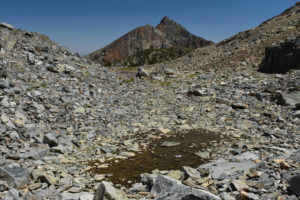 Scenic view of "Par Value" 2nd West Pond 2021-08-19, #08; lacks fairy shrimp; Bridgeport Ranger District, Humboldt-Toiyabe National Forest, Hoover Wilderness