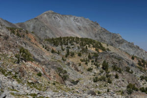 Scenic view of "Par Value" Long Pond 2021-08-19, #11, with Monument Ridge in distance; lacks fairy shrimp; Bridgeport Ranger District, Humboldt-Toiyabe National Forest, Hoover Wilderness