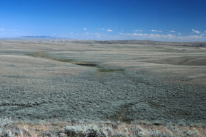 Pond in Antelope Hills 1993-08, #0637; Lander BLM Office