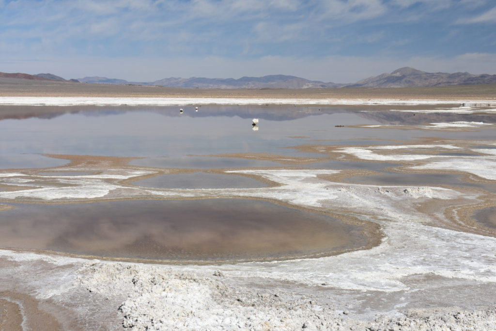 Scenic view of Rhodes Big Lake 2021-04-07, #09, with Gabbs Valley Range in distance; has fairy shrimp; Stillwater BLM Office and private land