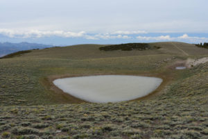 Scenic view of South Sister Aquamarine Pond 2022-06-22, #11; lacks fairy shrimp; Bridgeport Ranger District, Humboldt-Toiyabe National Forest