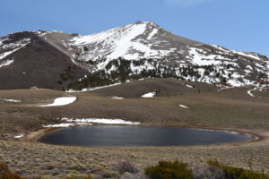 Scenic view of South Sister Dead Cow Pond 2020-05-02, #01; lacks fairy shrimp; Bridgeport Ranger District, Humboldt-Toiyabe National Forest