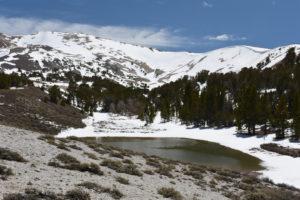 Scenic view of South Sister Hidden Camp Pond 2020-05-02, #03, with Mt. Patterson in distance; lacks fairy shrimp; Bridgeport Ranger District, Humboldt-Toiyabe National Forest