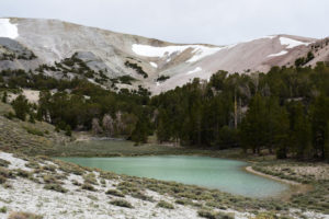 Scenic view of South Sister Hidden Camp Pond 2022-06-22, #14; has fairy shrimp; Bridgeport Ranger District, Humboldt-Toiyabe National Forest