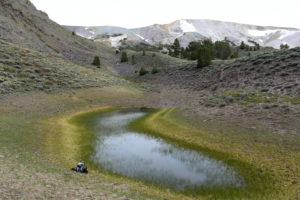 Scenic view of South Sister Southwest Pond 2022-06-22, #18; has fairy shrimp; Bridgeport Ranger District, Humboldt-Toiyabe National Forest