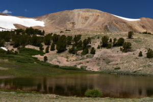 Scenic view of Wheeler Peak Pond 2019-07-19, #05, with Wheeler Peak in background; lacks fairy shrimp; Bridgeport Ranger District, Humboldt-Toiyabe National Forest