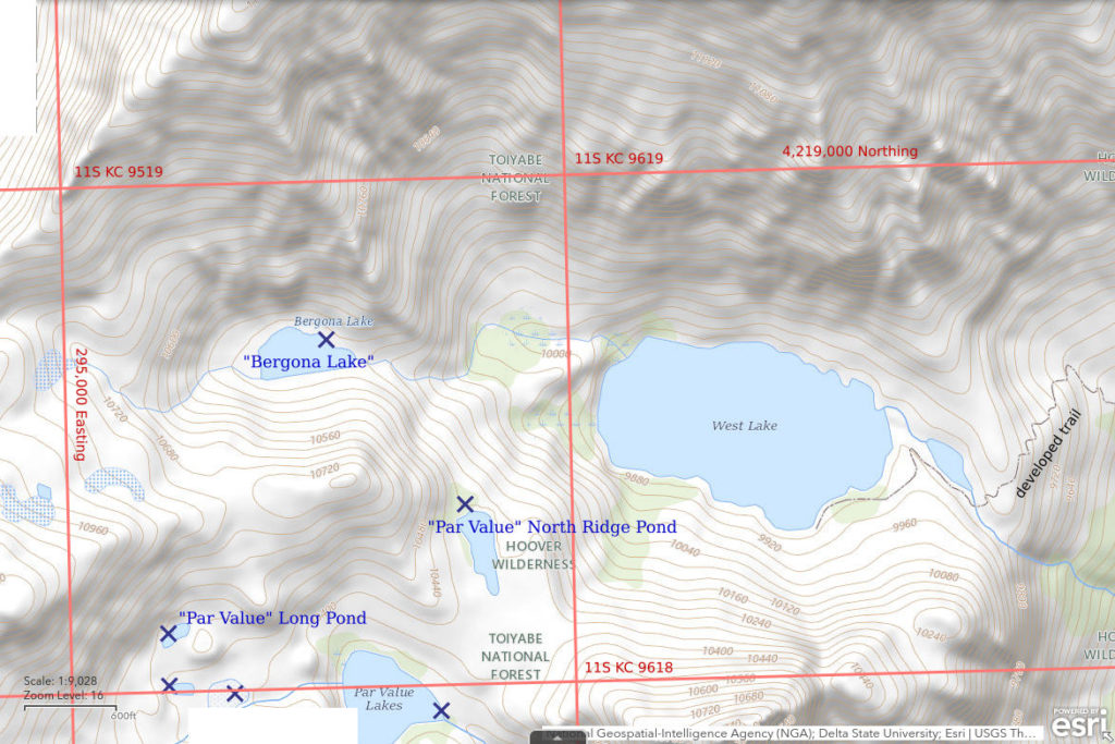 Topographic Map of "Bergona Lake"; The National Map with contours, roads, perennial/ephemeral water bodies, forest cover, marsh, UTM grid, private land