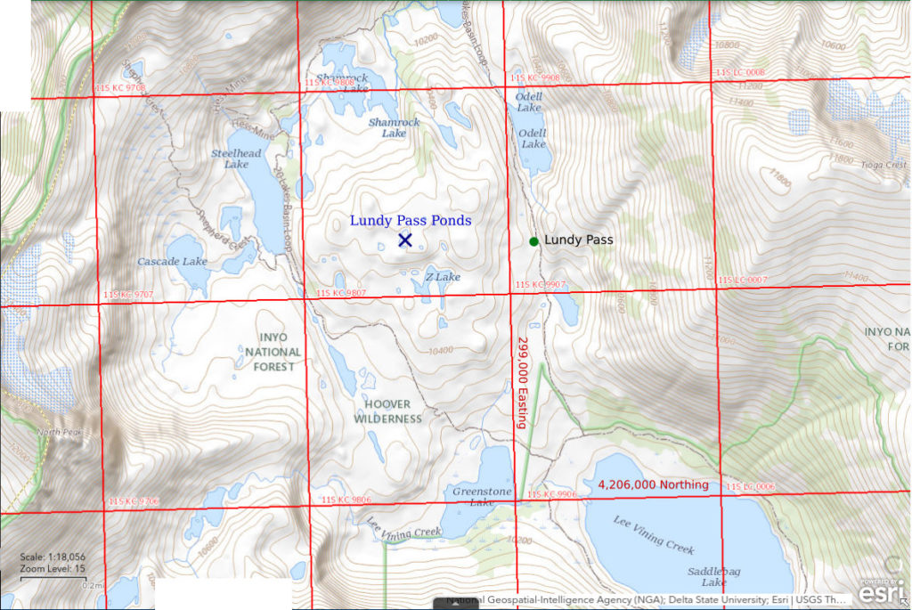 Topographic Map of Lundy Pass Ponds; The National Map with contours, roads, perennial/ephemeral water bodies, forest cover, marsh, UTM grid, private land