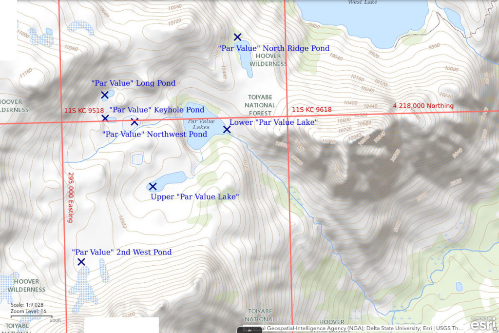 Topographic Map of Lower "Par Value Lake" and nearby ponds; The National Map with contours, roads, perennial/ephemeral water bodies, forest cover, marsh, UTM grid, private land