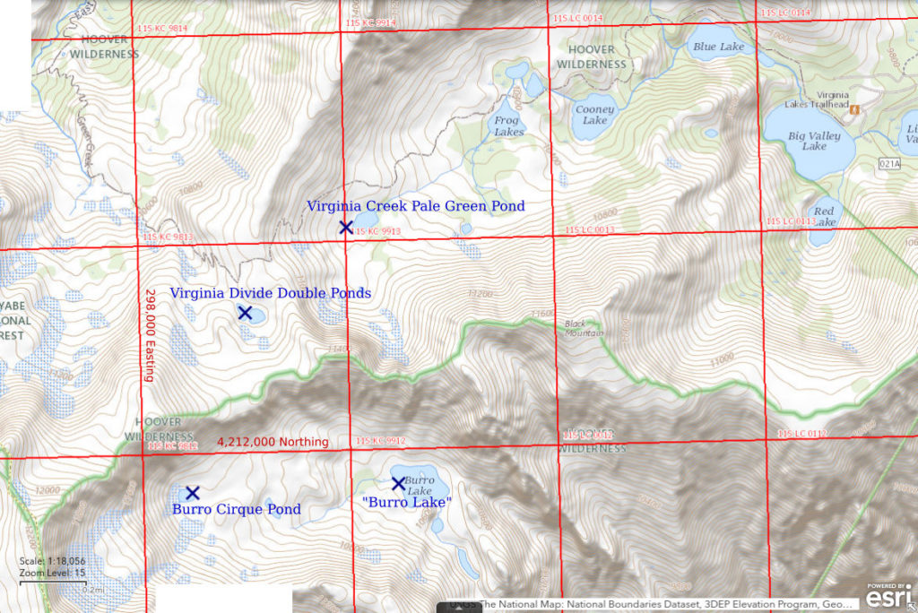 Topographic Map of Virginia Divide Double Ponds and nearby ponds; The National Map with contours, roads, perennial/ephemeral water bodies, forest cover, marsh, UTM grid, private land