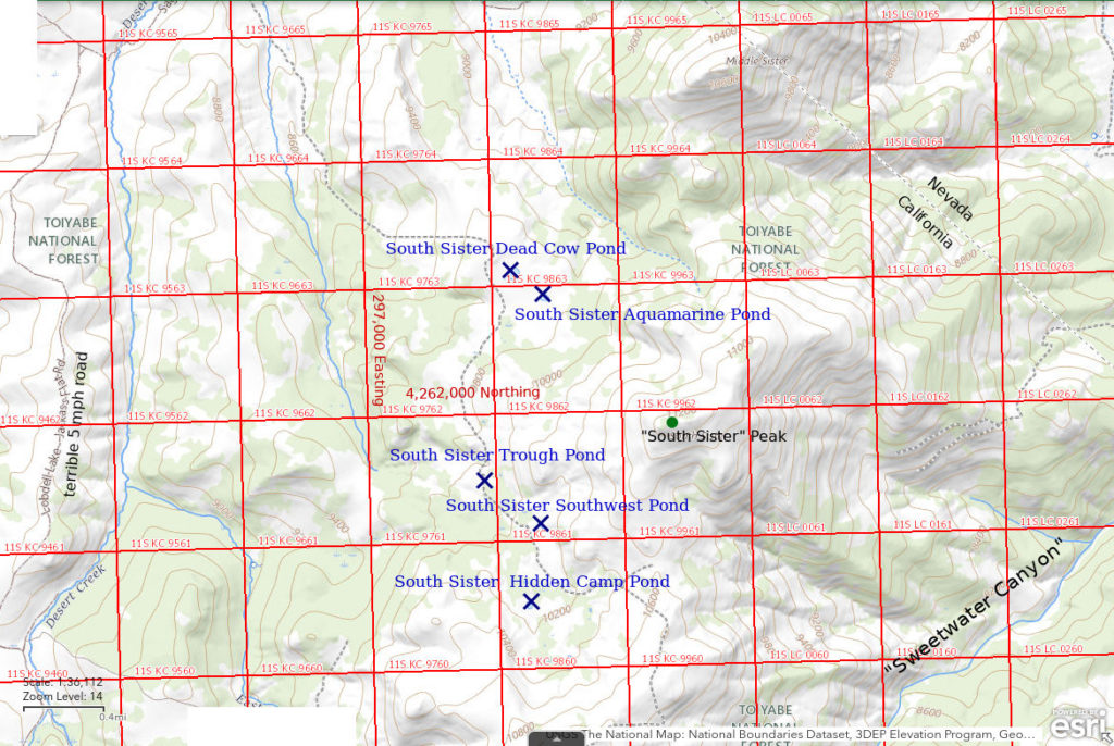 Topographic Map of South Sister Aquamarine Pond and nearby ponds; The National Map with contours, roads, perennial/ephemeral water bodies, forest cover, marsh, UTM grid, private land