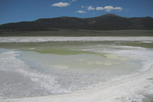 Scenic view of "Alkali Lake" 2017-06-14, #17, with Mount Hicks in distance; lacks fairy shrimp; Bridgeport Ranger District, Humboldt-Toiyabe National Forest