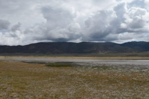 Scenic view of "Alkali Lake" 2018-05-23, #04, with Wassuk Range in distance; lacks fairy shrimp; Bridgeport Ranger District, Humboldt-Toiyabe National Forest