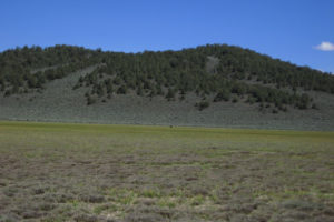 Scenic view of Bald Mountain Big Dry Lake 2017-06-01, #21, with bear; dry; Bridgeport Ranger District, Humboldt-Toiyabe National Forest, Wovoka Wilderness