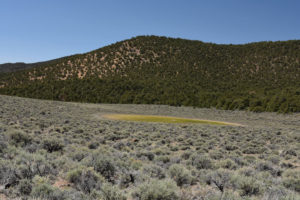 Scenic view of Bald Mountain Dry VABM Saddle Pond 2019-05-02 #15, has fairy shrimp; Bridgeport Ranger District, Humboldt-Toiyabe National Forest, Wovoka Wilderness