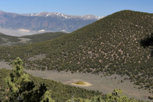 Scenic view of Bald Mountain Dry VABM Saddle Pond 2019-05-02 #26, with Wassuk Range in distance, has fairy shrimp; Bridgeport Ranger District, Humboldt-Toiyabe National Forest, Wovoka Wilderness