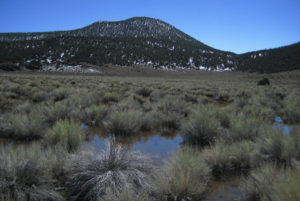 Scenic view of Bald Mountain Rabbitbrush Flat Pond 2017-03-23 #11, with Dry VABM peak in distance, has fairy shrimp; Bridgeport Ranger District, Humboldt-Toiyabe National Forest, Wovoka Wilderness