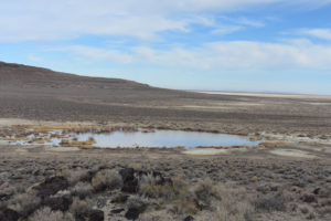 Scenic view of Bass Flat Southwest Pond 2022-02-09, #25, with "Carson Lake" playa in distance; has fairy shrimp; Stillwater BLM Office