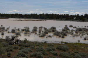 Scenic view of "Burnt Lake" Double Mud Bar Pond 2019-05-07, #09, with snowbank; has fairy shrimp; Surprise BLM Office, Buffalo Hills WSA