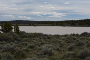 Scenic view of "Burnt Lake" In Between Pond 2019-05-08, #38; has fairy shrimp; Surprise BLM Office