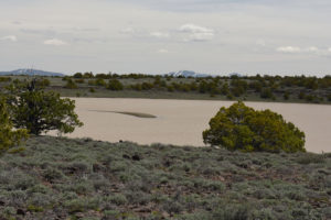 Scenic view of "Burnt Lake" Mud Bar Pond 2019-05-07, #04, with Rowland Mountain in distance; has fairy shrimp; Surprise BLM Office, Buffalo Hills WSA