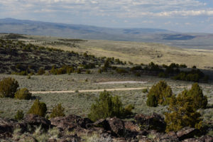 Scenic view of "Burnt Lake" Road Pond #1 2019-05-07, #18, with Hays Canyon Range in distance; has fairy shrimp; Surprise BLM Office