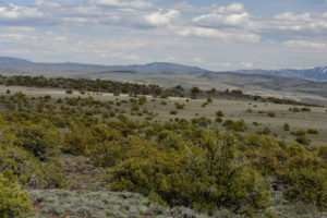 Scenic view of "Burnt Lake" Three Ducks Pond 2019-05-07, #13, with Wagon Tire Mountain in distance; has fairy shrimp; Surprise BLM Office, Buffalo Hills WSA