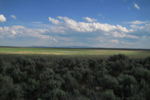 Scenic view of "Button Lake" 2017-05-24, #13, with Snowstorm Mountains on horizon; lacks fairy shrimp; Humboldt River BLM Office