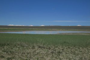 Scenic view of "Button Lake" 2017-05-24, #14, with Santa Rosa peaks on horizon; lacks fairy shrimp; Humboldt River BLM Office