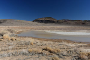 Scenic view of Candelaria Playa Ponds 2022-02-10, #02, middle pond with Candelaria Mountain in the distance; lacks fairy shrimp; Stillwater BLM Office