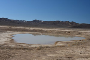 Scenic view of Candelaria Playa Ponds 2022-02-28, #05, middle pond with Candelaria Hills in distance; has fairy shrimp; Stillwater BLM Office