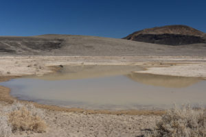 Scenic view of Candelaria Playa Ponds 2022-02-28, #12, north pond with Candelaria Mountain in distance; has fairy shrimp; Stillwater BLM Office