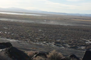 Scenic view of "Carson Lake" East Ridge Pond 2022-01-31, #20, with "Carson Lake" in distance; has fairy shrimp; Nevada Department of Wildlife