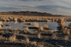 Scenic view of "Carson Lake" East Ridge Pond 2022-01-31, #21, with Bunejug Mountains in distance; has fairy shrimp; Nevada Department of Wildlife