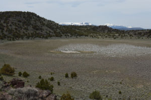 Scenic view of "Dry Steer Lake" 2019-05-08, #36, with Warner Mountains in distance; has fairy shrimp; Surprise BLM Office