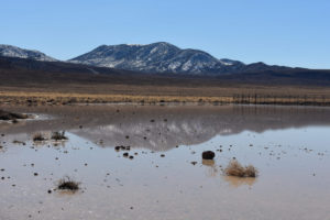 Scenic view of playa by Garfield Flat Stock Tank Pond 2019-03-15, #04; has fairy shrimp; private