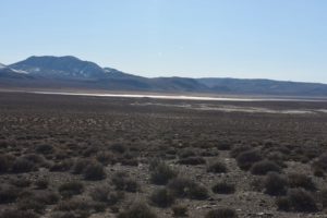 Scenic view of playa with Garfield Flat Stock Tank Pond 2019-03-15, #05, with Excelsior Mountains in distance; has fairy shrimp; private