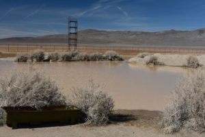 Scenic view of Garfield Flat Stock Tank Pond 2022-03-14, #17, with Garfield Hills in distance; has fairy shrimp; private