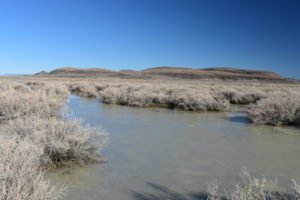 Scenic view of Grimes Point West Pond 2022-01-27, #01, with Lahontan Mountains in distance; all ice and no fairy shrimp; Stillwater BLM Office