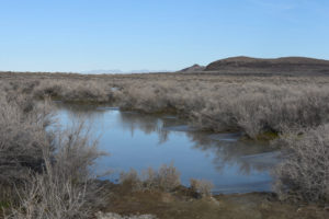 Scenic view of Grimes Point West Pond 2022-01-31, #18, with Lahontan Mountains in distance; lacks fairy shrimp; Stillwater BLM Office