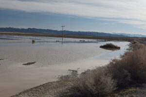 Scenic view of Labou Playa North Pond 2019-03-19, #02, with Clan Alpine Range in distance; has fairy shrimp; Stillwater BLM Office