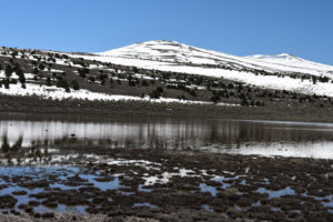 Scenic view of Large Rare Plant Habitat Pond 2019-04-24 #07, with Bald Mountain in distance, has fairy shrimp; Bridgeport Ranger District, Humboldt-Toiyabe National Forest, Wovoka Wilderness