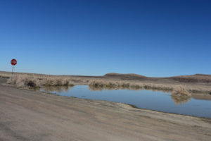 Scenic view of Macari East Stop Sign Pond 2022-01-27, #03, with Lahontan Mountains in distance; has fairy shrimp; Stillwater BLM Office